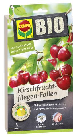 COMPO BIO Kirschfruchtfliegen-Falle 3 Stück Packung
