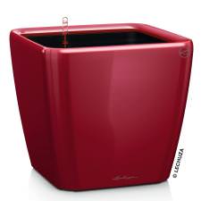 LECHUZA® Pflanzgefäße QUADRO LS 43 Scarlet rot hochglänzend All-in-One