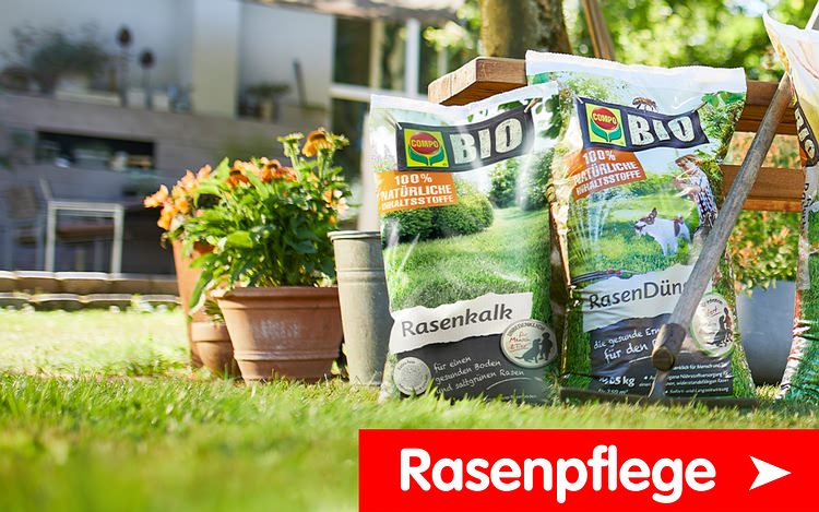 COMPO Rasenpflege